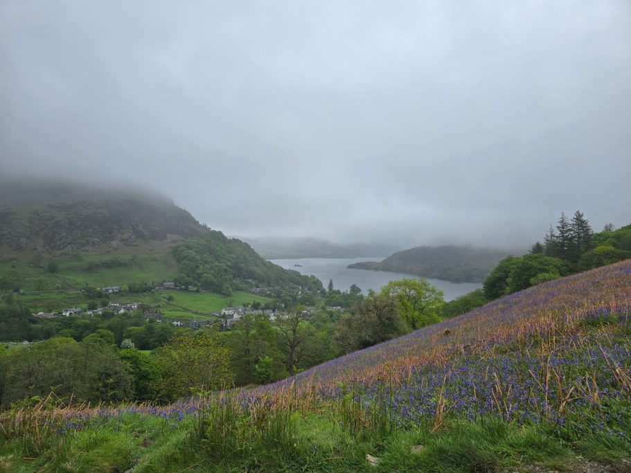 Mist-covered hills overlooking a tranquil lake and vibrant purple wildflowers.