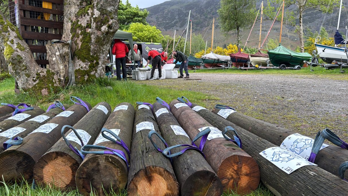 Logs stacked on the ground with people and boats in the background near a harbour.