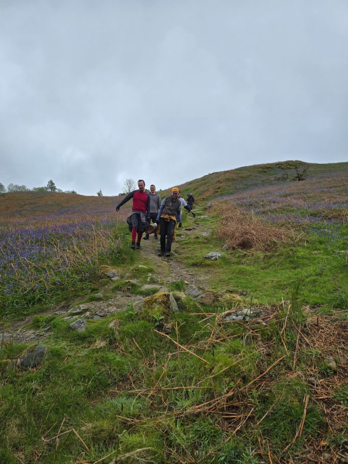 Two people walking along a grassy path in a hilly landscape with purple flowers.