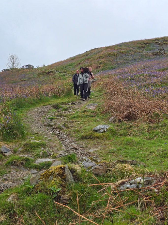 Two hikers on a rocky path through a grassy and flower-filled hillside.