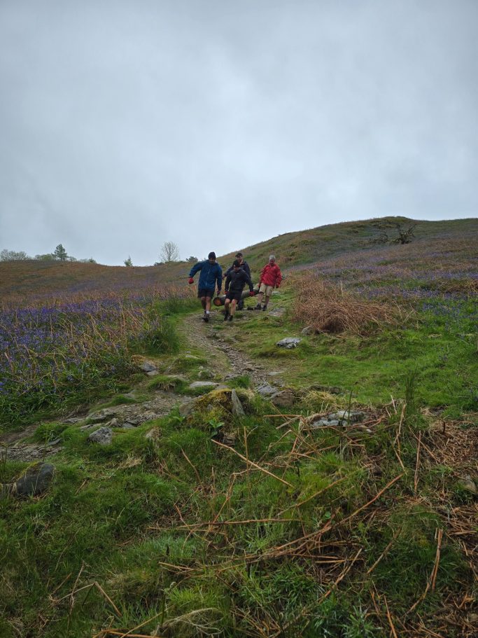Three figures walking along a grassy path in a field of blue flowers under a cloudy sky.