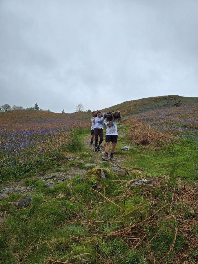 Three people walking along a path amidst a field of purple flowers on a cloudy day.