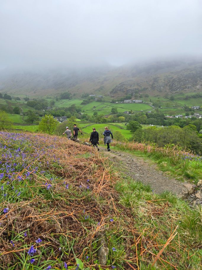 Three hikers walking along a path through lush green hills and bluebells in foggy weather.